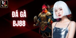 da-ga-bj88
