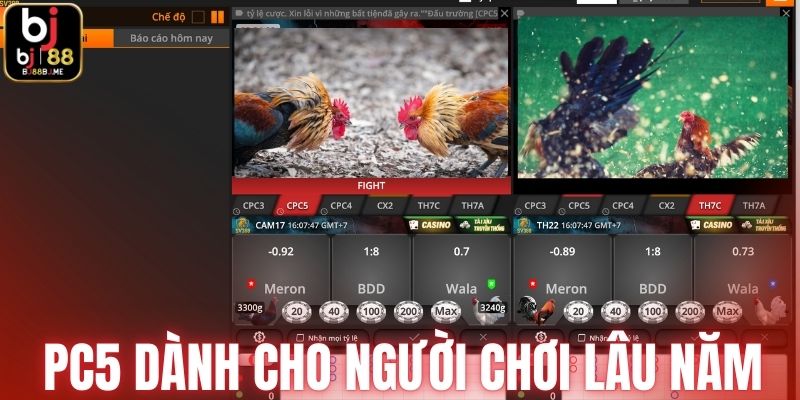 Đấu trường PC5 dành cho người theo dõi lâu năm