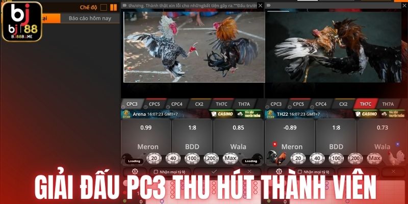 Giải đấu PC3 thu hút đông đảo thành viên cá cược