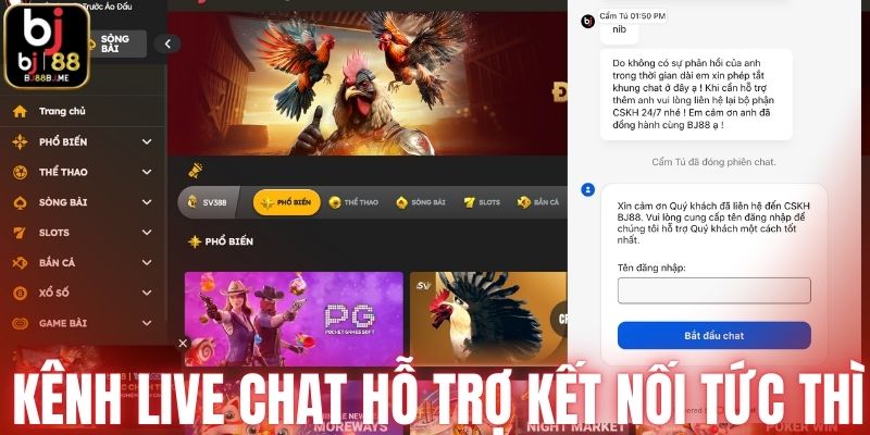 Kênh live chat hỗ trợ kết nối tức thì